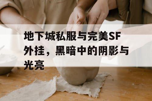地下城私服与完美SF外挂,黑暗中的阴影与光亮 地下城私服与完美SF外挂,黑暗中的阴影与光亮