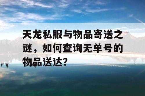 天龙私服与物品寄送之谜，如何查询无单号的物品送达？