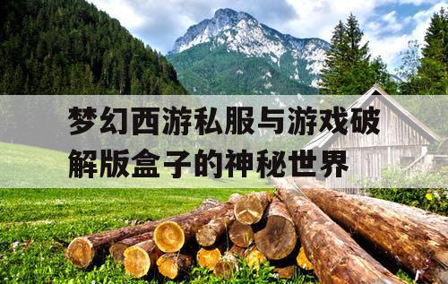 梦幻西游私服与游戏破解版盒子的神秘世界 梦幻西游私服与游戏破解版盒子的神秘世界