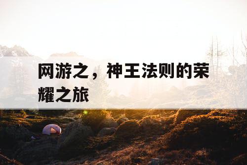 网游之,神王法则的荣耀之旅 网游之,神王法则的荣耀之旅