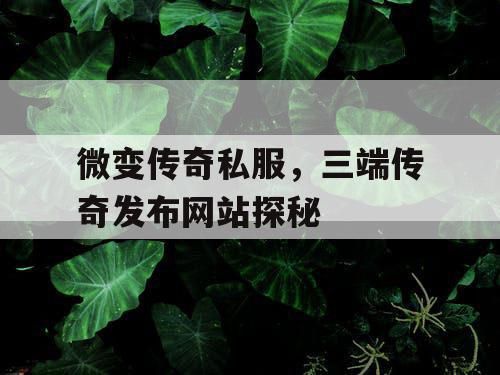 微变传奇私服,三端传奇发布网站探秘 微变传奇私服,三端传奇发布网站探秘