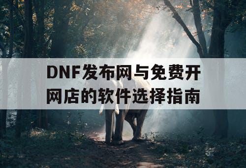 DNF发布网与免费开网店的软件选择指南