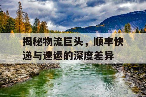 揭秘物流巨头，顺丰快递与速运的深度差异