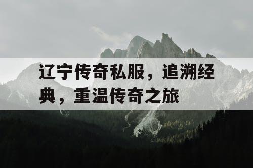 辽宁传奇私服，追溯经典，重温传奇之旅