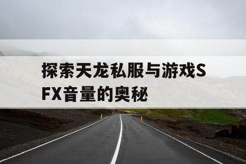 探索天龙私服与游戏SFX音量的奥秘