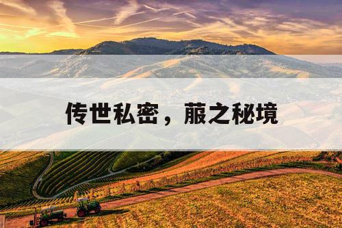 传世私密，菔之秘境