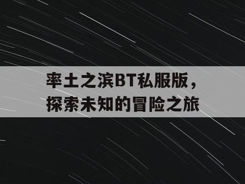 率土之滨BT私服版,探索未知的冒险之旅 率土之滨BT私服版,探索未知的冒险之旅