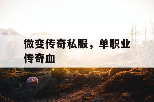 微变传奇私服,单职业传奇血 微变传奇私服,单职业传奇血