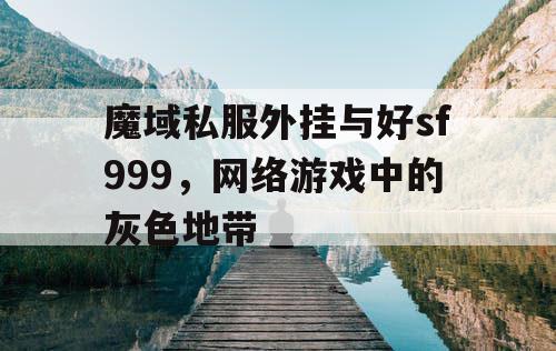 魔域私服外挂与好sf999，网络游戏中的灰色地带