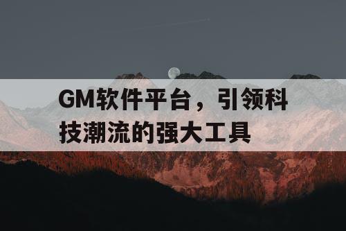 GM软件平台，引领科技潮流的强大工具