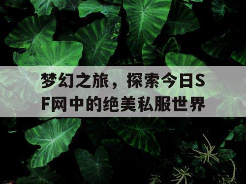 梦幻之旅,探索今日SF网中的绝美私服世界 梦幻之旅,探索今日SF网中的绝美私服世界