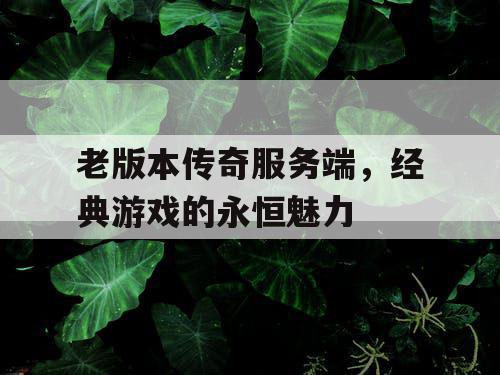 老版本传奇服务端，经典游戏的永恒魅力