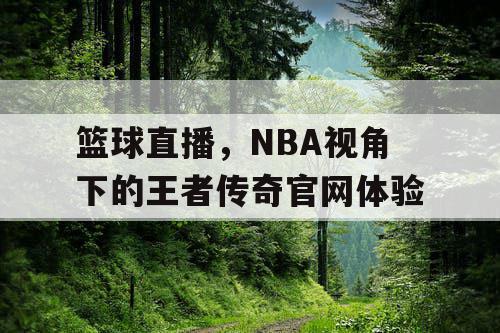 篮球直播，NBA视角下的王者传奇官网体验