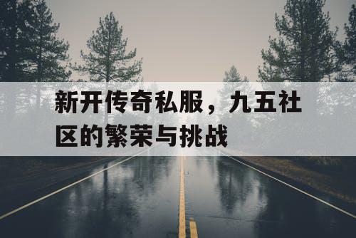 新开传奇私服,九五社区的繁荣与挑战 新开传奇私服,九五社区的繁荣与挑战