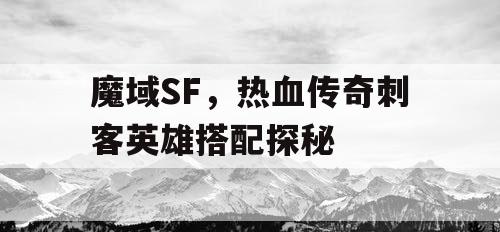魔域SF，热血传奇刺客英雄搭配探秘