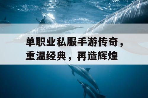 单职业私服手游传奇,重温经典,再造辉煌 单职业私服手游传奇,重温经典,再造辉煌