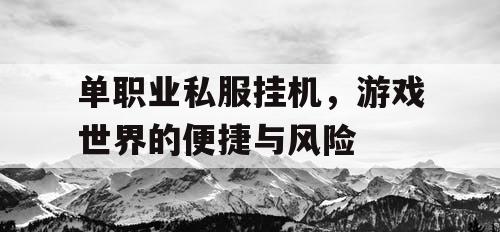 单职业私服挂机,游戏世界的便捷与风险 单职业私服挂机,游戏世界的便捷与风险