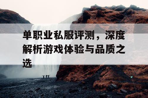 单职业私服评测，深度解析游戏体验与品质之选