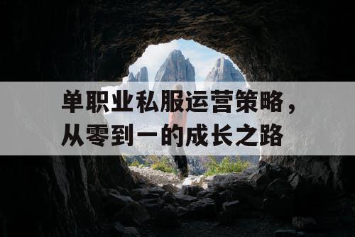 单职业私服运营策略，从零到一的成长之路