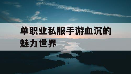 单职业私服手游血沉的魅力世界