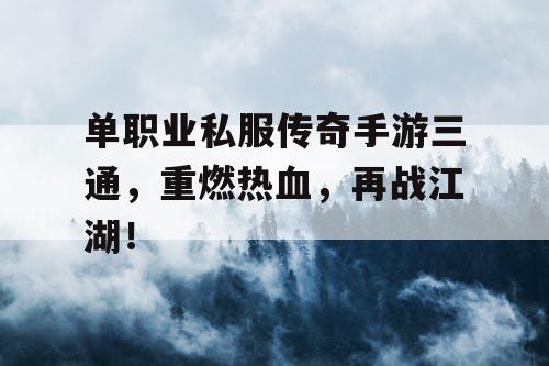 单职业私服传奇手游三通，重燃热血，再战江湖！