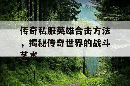 传奇私服英雄合击方法，揭秘传奇世界的战斗艺术