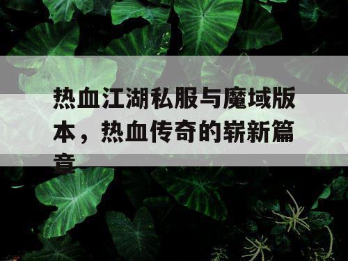 热血江湖私服与魔域版本，热血传奇的崭新篇章
