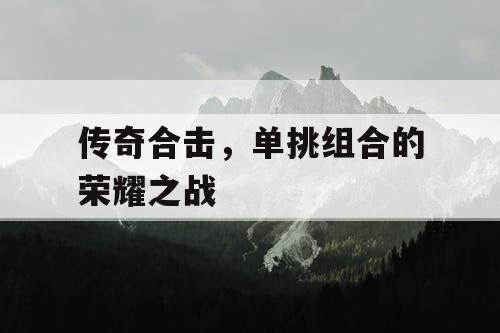 传奇合击,单挑组合的荣耀之战 传奇合击,单挑组合的荣耀之战