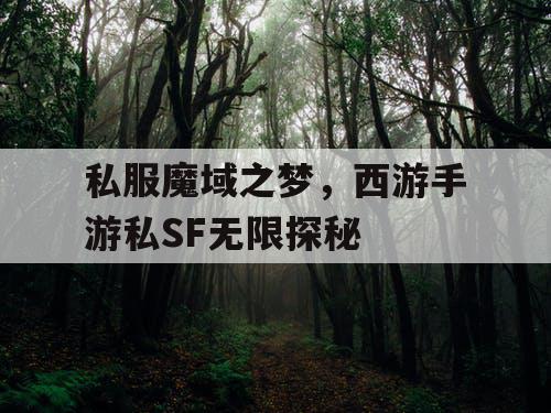 私服魔域之梦，西游手游私SF无限探秘