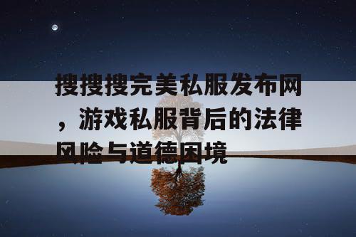 搜搜搜完美私服发布网,游戏私服背后的法律风险与道德困境 搜搜搜完美私服发布网,游戏私服背后的法律风险与道德困境
