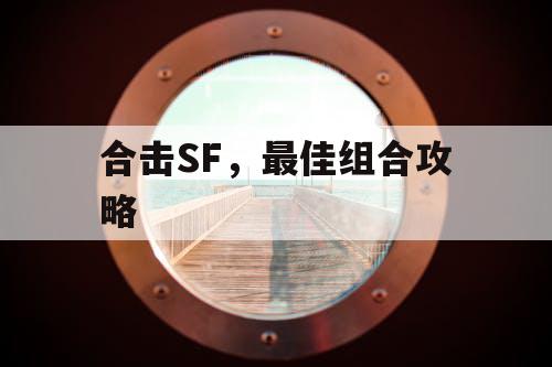 合击SF,最佳组合攻略 合击SF,最佳组合攻略