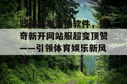 篮球赛事直播软件，传奇新开网站服超变顶赞——引领体育娱乐新风尚