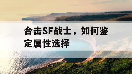 合击SF战士，如何鉴定属性选择