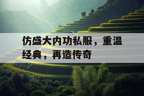 仿盛大内功私服，重温经典，再造传奇