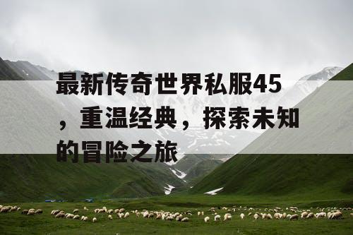最新传奇世界私服45,重温经典,探索未知的冒险之旅 最新传奇世界私服45,重温经典,探索未知的冒险之旅