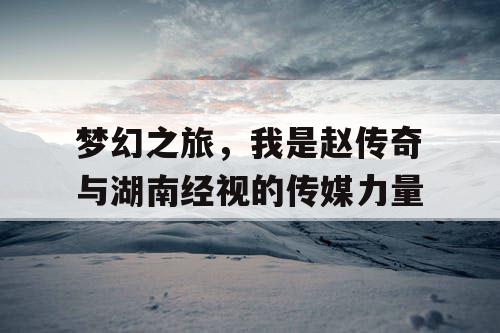 梦幻之旅，我是赵传奇与湖南经视的传媒力量