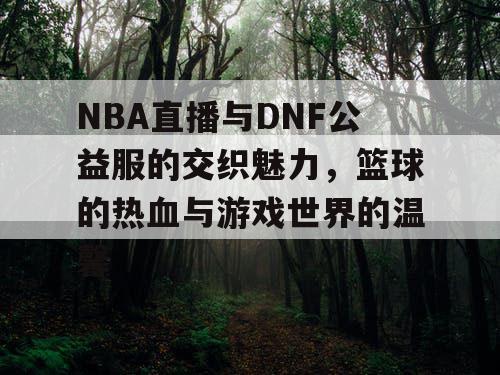 NBA直播与DNF公益服的交织魅力,篮球的热血与游戏世界的温馨 NBA直播与DNF公益服的交织魅力,篮球的热血与游戏世界的温馨