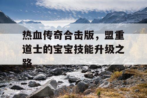 热血传奇合击版,盟重道士的宝宝技能升级之路 热血传奇合击版,盟重道士的宝宝技能升级之路