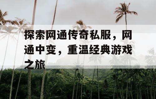 探索网通传奇私服，网通中变，重温经典游戏之旅