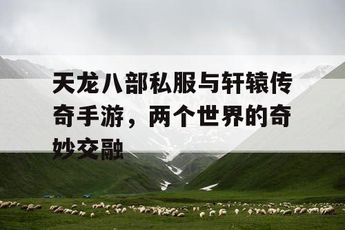 天龙八部私服与轩辕传奇手游，两个世界的奇妙交融