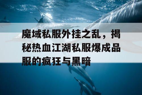 魔域私服外挂之乱,揭秘热血江湖私服爆成品服的疯狂与黑暗 魔域私服外挂之乱,揭秘热血江湖私服爆成品服的疯狂与黑暗