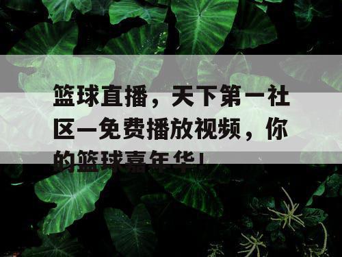 篮球直播,天下第一社区—免费播放视频,你的篮球嘉年华! 篮球直播,天下第一社区—免费播放视频,你的篮球嘉年华!