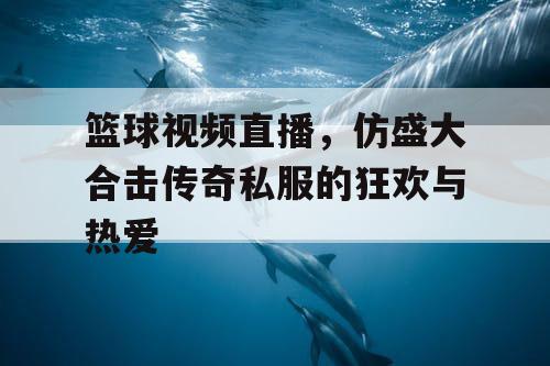 篮球视频直播，仿盛大合击传奇私服的狂欢与热爱