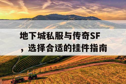 地下城私服与传奇SF，选择合适的挂件指南