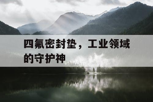 四氟密封垫,工业领域的守护神 四氟密封垫,工业领域的守护神