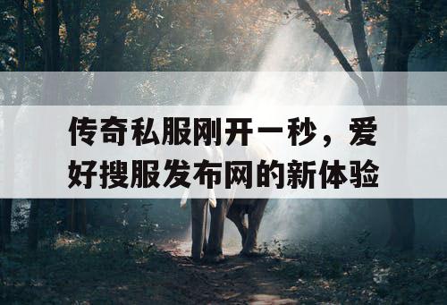 传奇私服刚开一秒,爱好搜服发布网的新体验 传奇私服刚开一秒,爱好搜服发布网的新体验