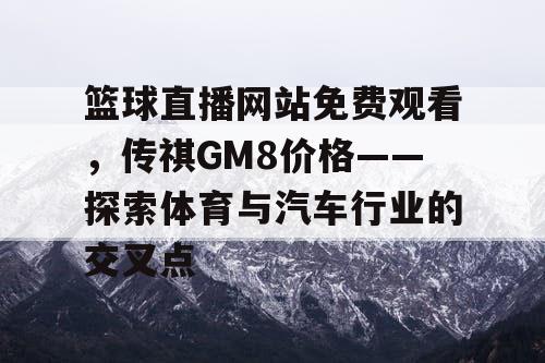 篮球直播网站免费观看，传祺GM8价格——探索体育与汽车行业的交叉点