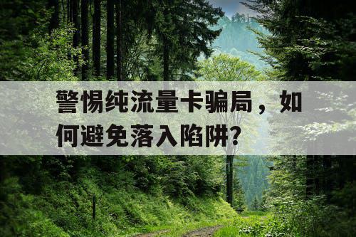警惕纯流量卡骗局,如何避免落入陷阱? 警惕纯流量卡骗局,如何避免落入陷阱?
