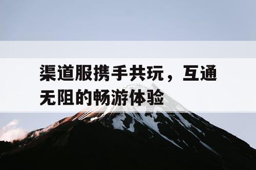 渠道服携手共玩，互通无阻的畅游体验