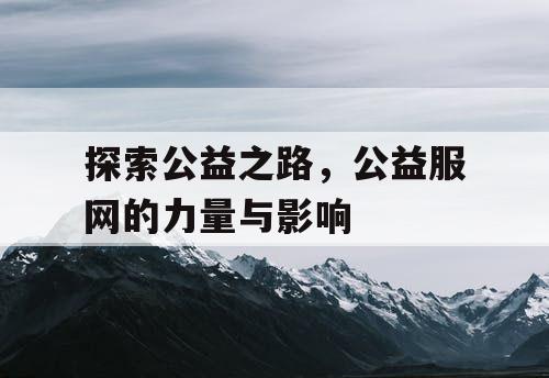 探索公益之路，公益服网的力量与影响